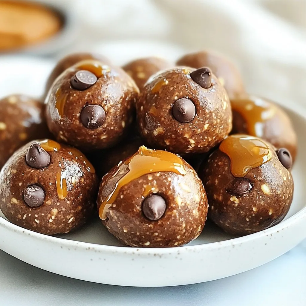 No Bake Chocolate Peanut Butter Protein Balls Delight
